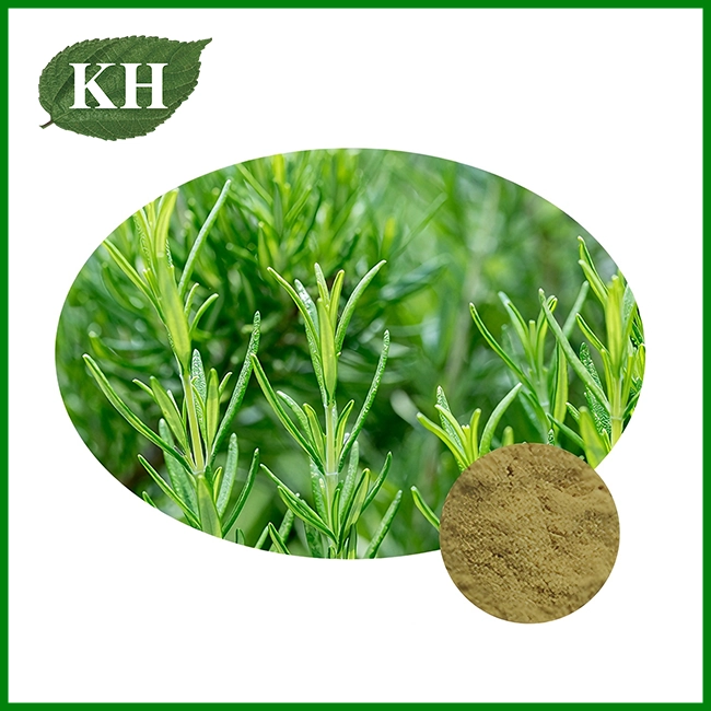 Rosemary Extract Powder